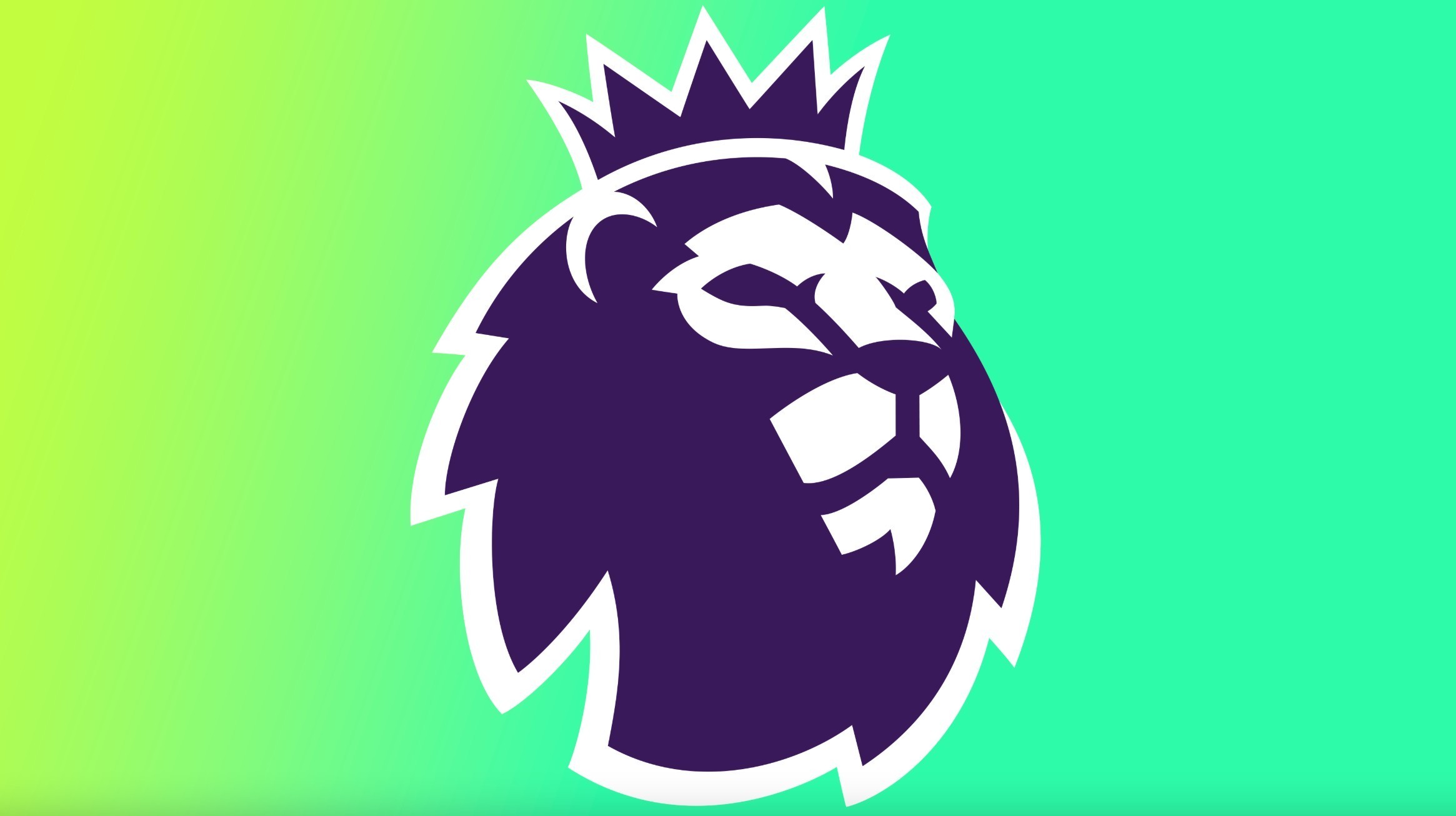 尽管球队在 尽管球队在