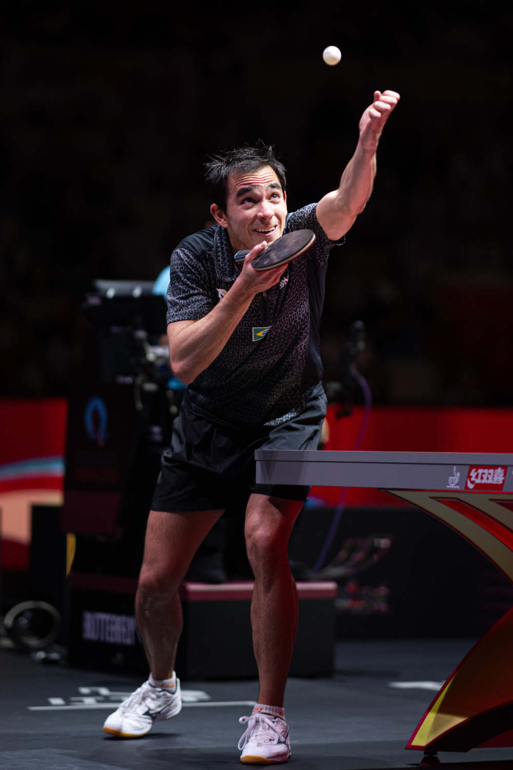 莫德裏奇掌 莫德裏奇掌